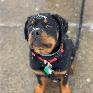 Meet your Posher, Mike